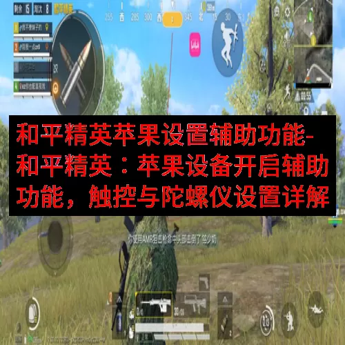 和平精英苹果设置辅助功能-和平精英：苹果设备开启辅助功能，触