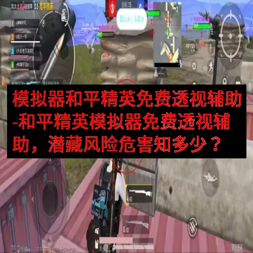 模拟器和平精英免费透视辅助-和平精英模拟器免费透视辅助，潜藏