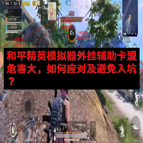 和平精英模拟器外挂辅助卡盟危害大，如何应对及避免入坑？