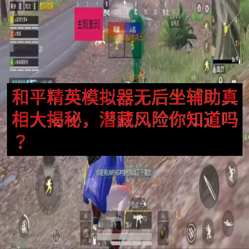 和平精英模拟器无后坐辅助真相大揭秘，潜藏风险你知道吗？